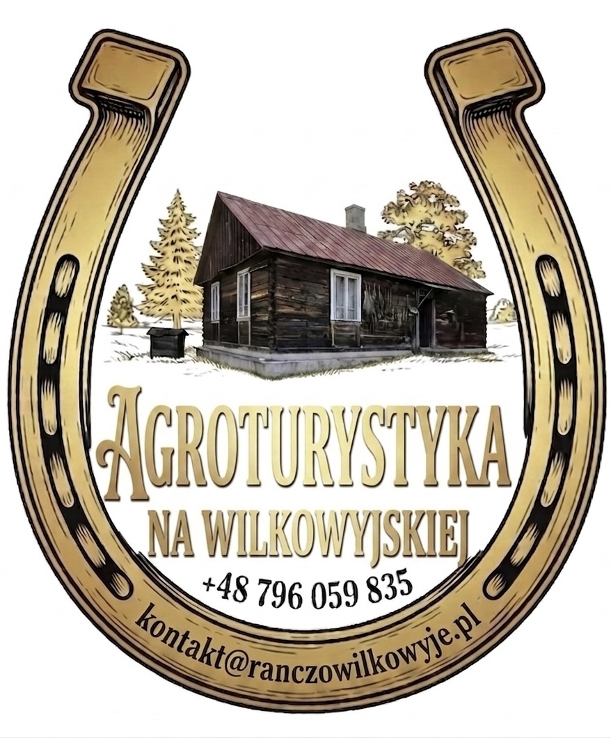 agroturystyka na Wilkowyjskiej